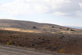 loneliness and desolation of the high steppes  - PhotoDune Item for Sale