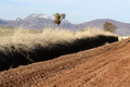 muddy dirt road, snowy mountains and dry grass  - PhotoDune Item for Sale