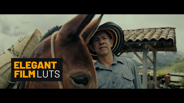 Elegant Film Color LUTs alt