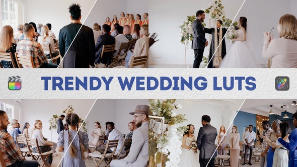 Trendy Wedding LUTs | FCPX & Apple Motion