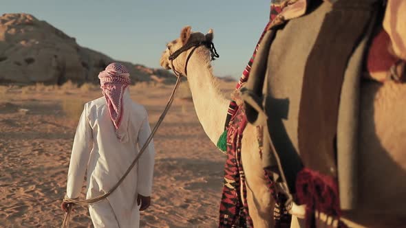Bedouin man Crossing The Desert of Wadi Rum with a camel, Jordan.
