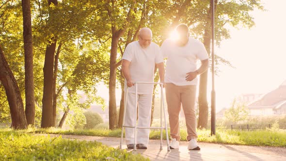 African-American caregiver is teaching disabled old man to walk with walker. Nurse and patient.