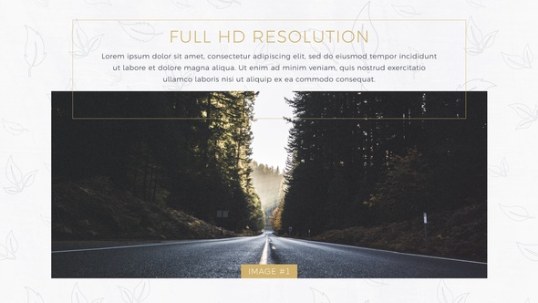 Stylish Minimal Slideshow alt