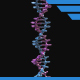 DNA Strand - 3DOcean Item for Sale