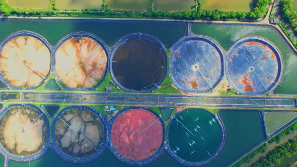 An aerial view of a drone flying over a large shrimp farm