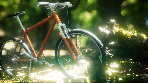 Mountain Bike on the Forest Path alt