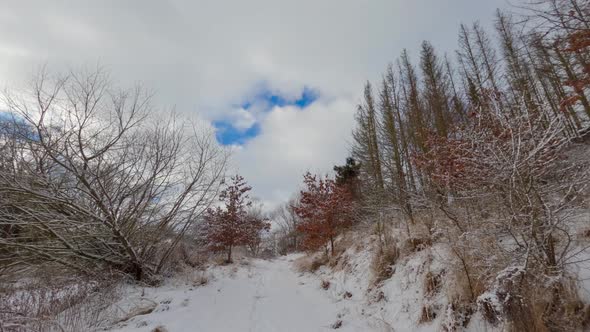 Winter timelapse, moving clouds in snowy landscape