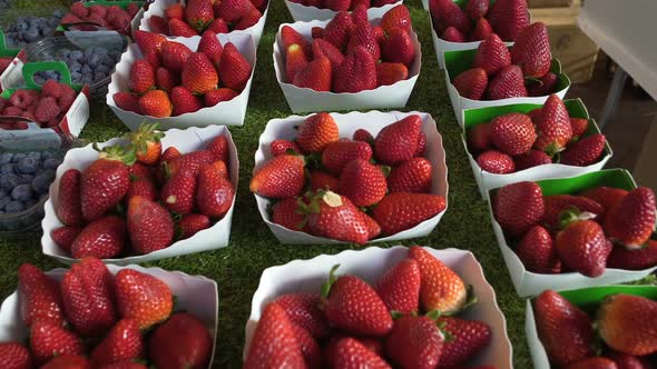 Fresh Strawberries From Berry Plantations Sold at Organic Food Store, Market