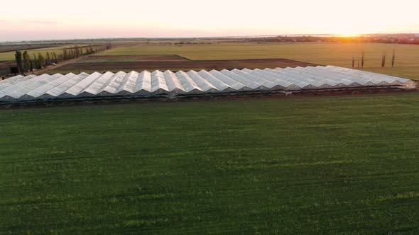 Greenhouses Aerial View