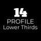 Social Profile Lower Thirds - VideoHive Item for Sale