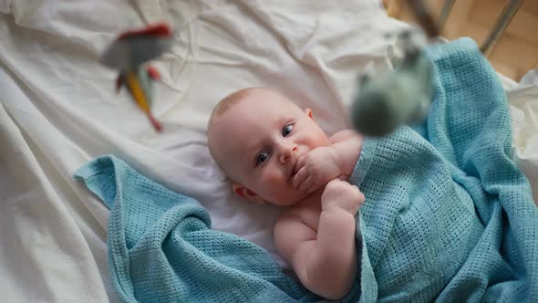 Adorable Toddler Baby Boy Smiling at Camera