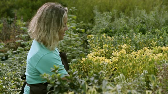 Positive Greenhouse Gardener Examining Houseplants in Pots