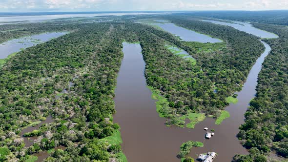 Stunning landscape of Amazon Forest at Amazonas State Brazil.