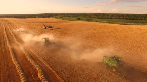 Combine Harvesters in Motion.