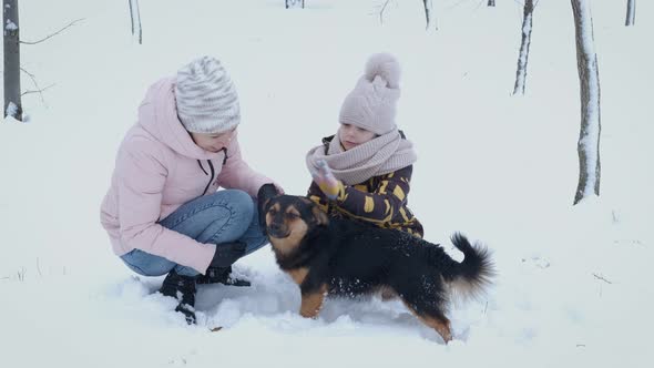 Family with Active Dog in Winter