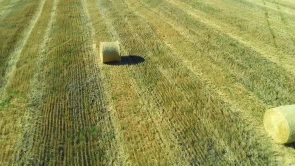 Harvest Landscape Hay Bale