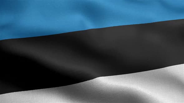 Estonia Flag Seamless Closeup Waving Animation