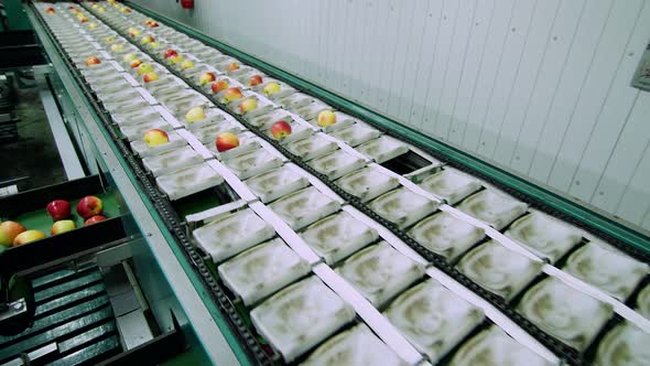 Equipment in a Factory for Drying and Sorting Apples