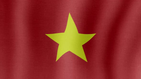 The National Flag of Vietnam