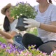 Slow motion Happy Asian mother and daughter planting flower together in the garden. - VideoHive Item for Sale