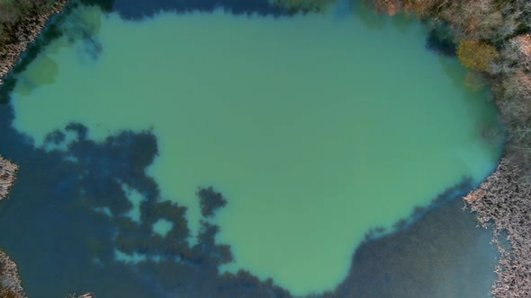 Aerial Birds Eye View Of Green Lake Surrounded By Forest Trees. Pedestal Up