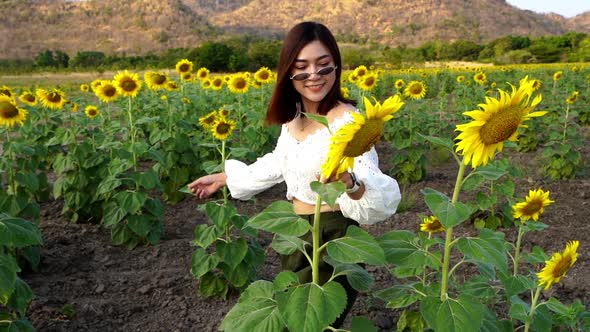 slow-motion of cheerful woman enjoying with sunflower field at Kao Jeen Lae in Lopburi, Thailand