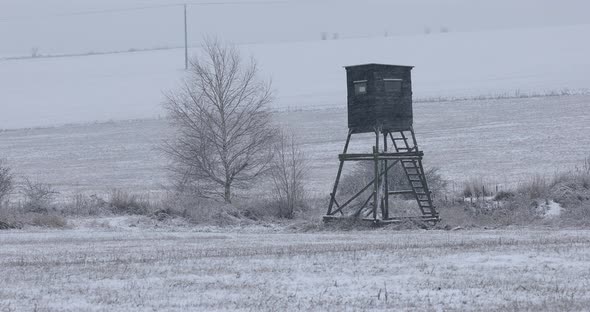 Winter landscape covered with snow