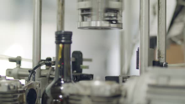 Filling of olive oil bottles in a bottling factory