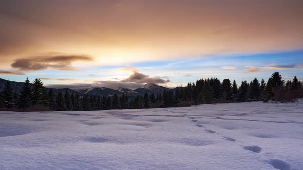 Winter Mountain Forest Landscape at Sunset