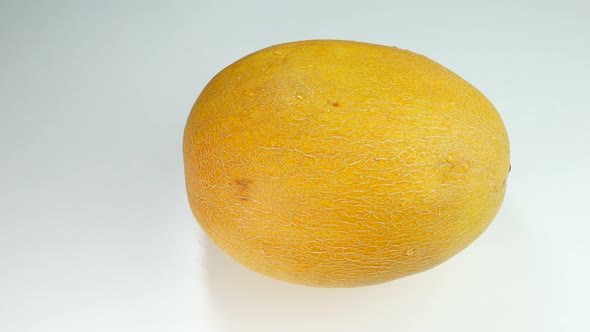 Melon