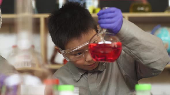 Laboratory Experience in a Chemistry Lesson, Asian Boy in Protective Glasses Holding a Test Tube