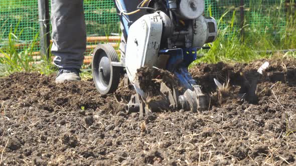 Man Cultivates the Soil in the Garden Using a Motor Cultivator  Tiller