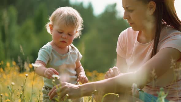 Mom with a child are sitting in a clearing or park. Parenting Maternity Joy Family Concept.