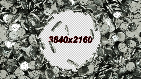 Silver Pound Transition alt