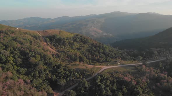 Aerial view of mountain, hills and flower blooming. scenic landscape