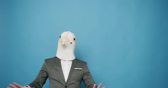 Happy Guy in Gray Suit Dance with Pigeon Mask on Blue Background