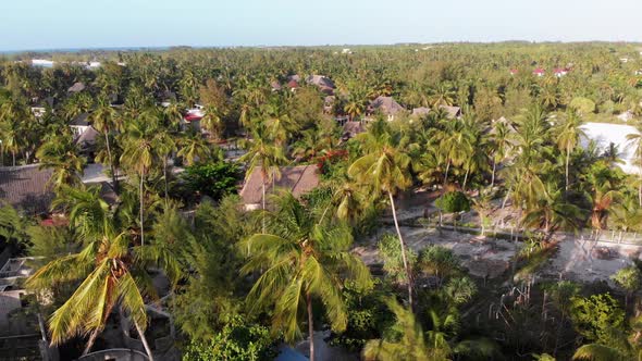 Aerial View African Tropical Beach Resort ThatchedRoof Hotels Pools Zanzibar