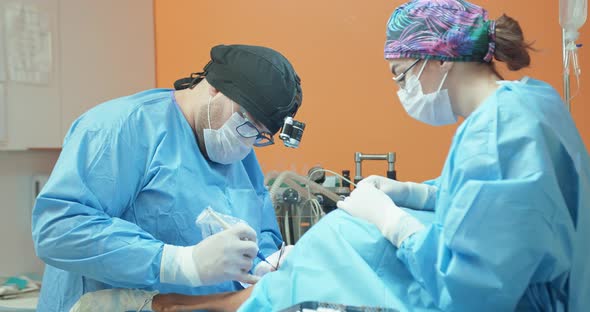 Male Veterinarian in Glasses White Gloves Cap and in Surgical Outfit While He is Operating the Back