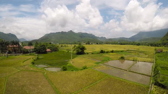 Beautiful view of iconic rice paddy terrace fields in Mai Chau, Vietnam Asia. 4K timelapse