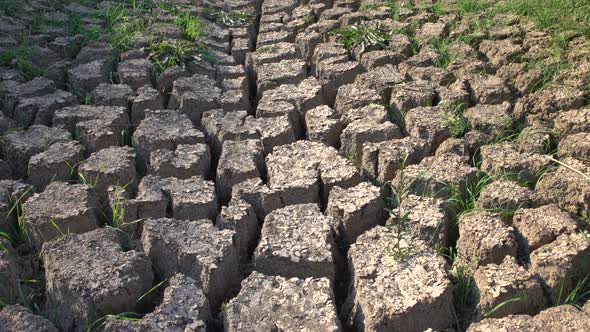 Cracked Land From Drought