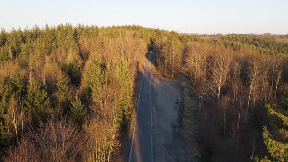 An empty road leading through a forest of both deciduous and coniferous trees. Aerial following shot