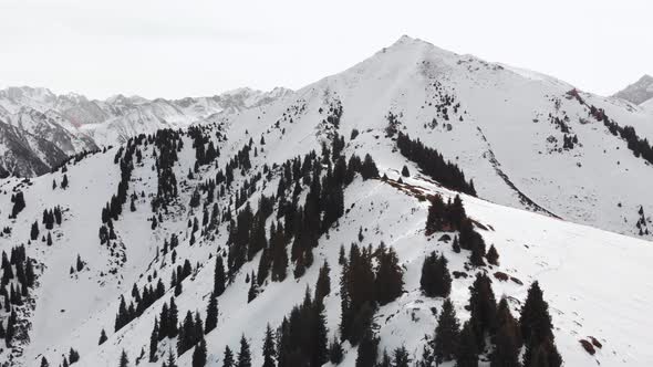 Aerial Landscape of Beautiful Winter Mountains