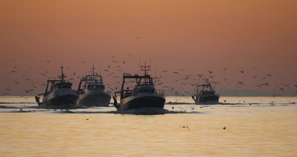 fishing boat coming back to the harbour at sunset, France