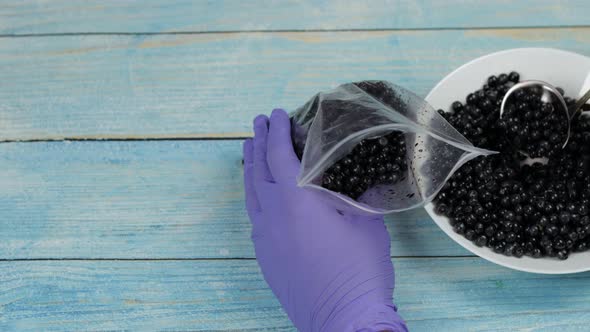 Packing Blueberries in Zipper Plastic Bags for Freezing. Frozen, Preservation Fruits, Berries Food