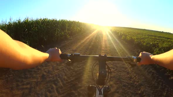 Man on Bicycle is Riding Across the Field to Meet the Sun During Sunset Sunrise