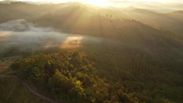 4K Aerial view flying in fog. clouds at sunset fog.