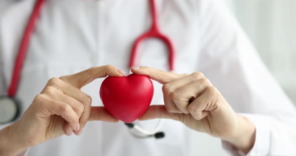 Cardiologist Holds Small Red Heart Slow Motion  Movie