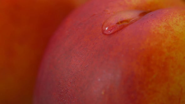 Closeup of Drop of Water Flowing Down Surface of Red Nectarine in Slow Motion