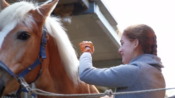 Redheaded woman grooming horse in stable