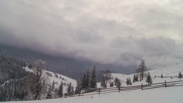 The Winter Mountain Forest